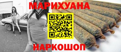 шишки Можга