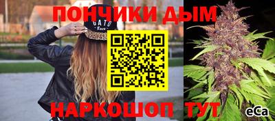 шишки Можга