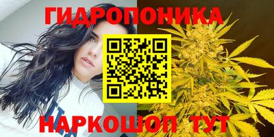 ПСИЛОЦИБИНОВЫЕ ГРИБЫ Можайск